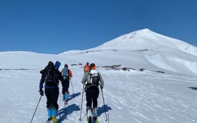 Trene hos oss i påska?